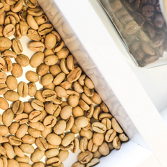 Freshness of Beans and Ageing Coffee