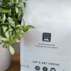Freshness of Beans and Ageing Coffee