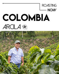 Colombia Jairo Arcila - Honey Rainbow Decaf