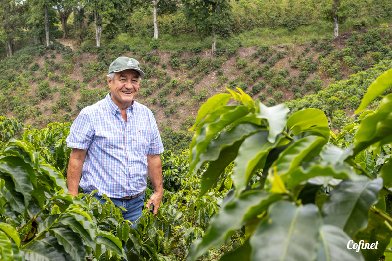 Colombia Jairo Arcila - Honey Rainbow Decaf