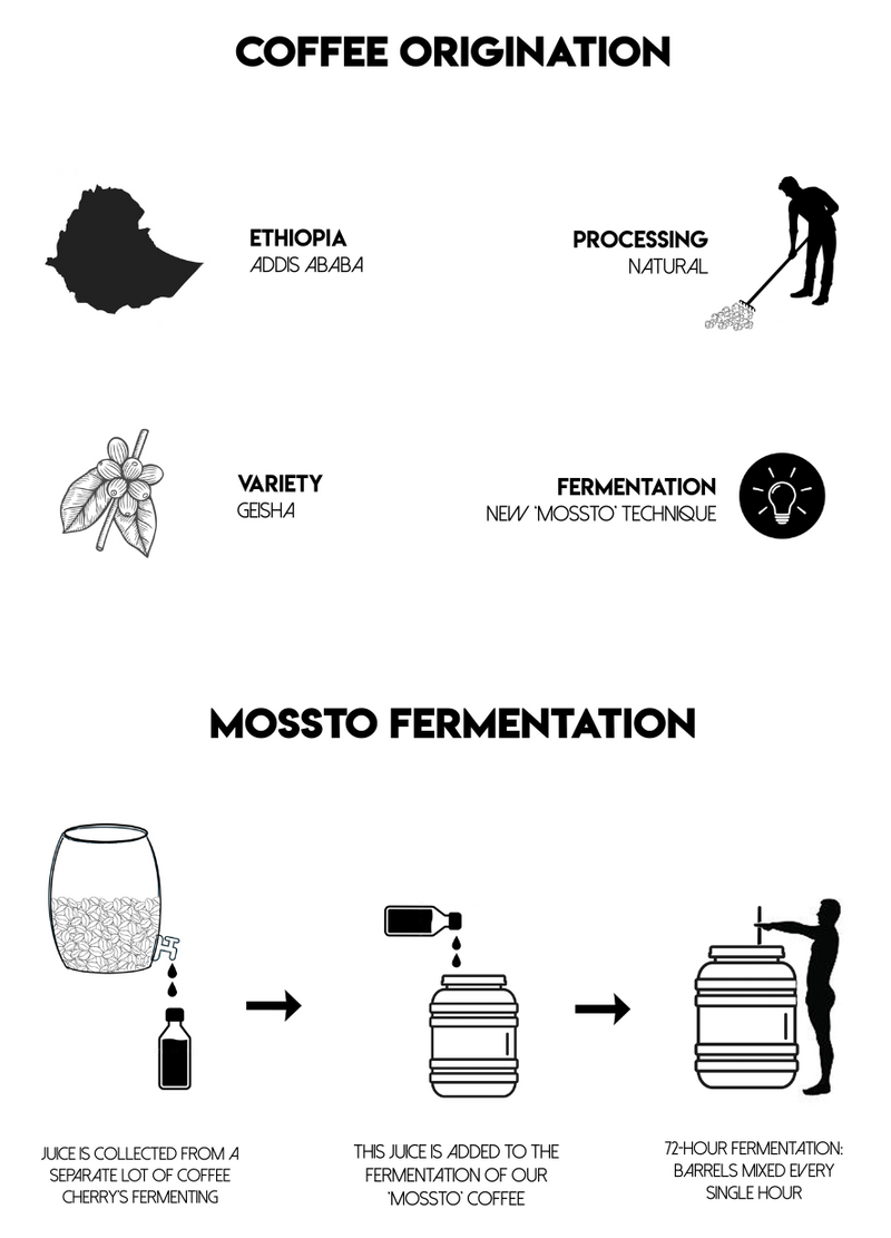 Ethiopia Geisha - Gesha Village RSV4,  Mossto Fermentation