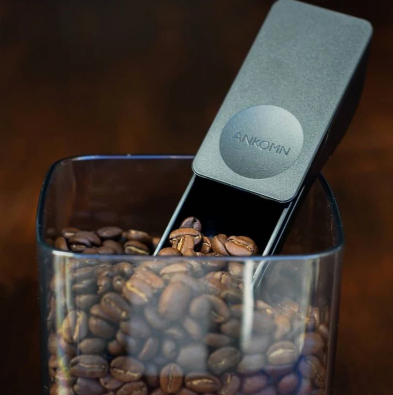 Ankomn Coffee Scoop