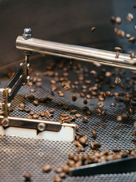 Single Origin Roasted for Filter - *Seasonal*