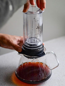 Delter Coffee Press