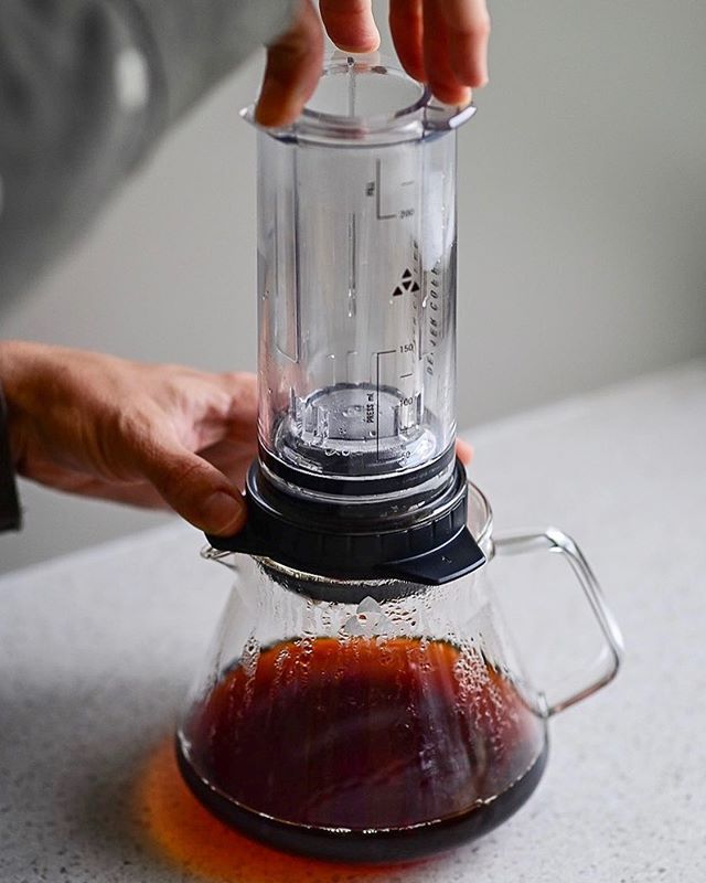 Delter Coffee Press - Coffee Plunger
